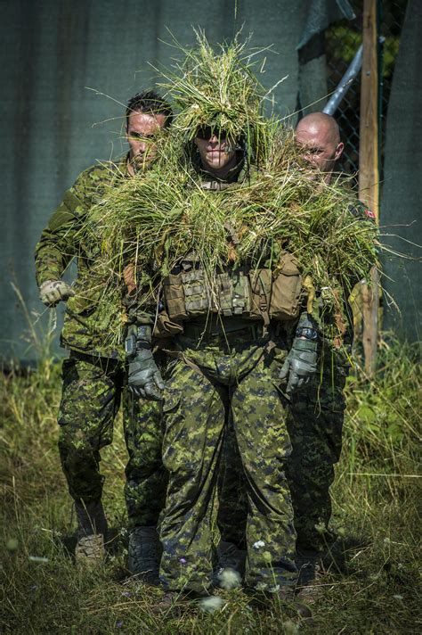 A Canadian sniper camouflages himself with natural grass for ...