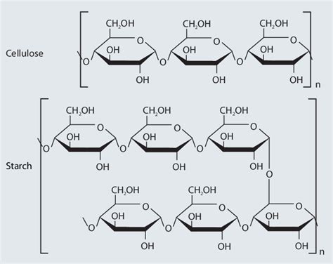 Structure of cellulose and starch | Download Scientific Diagram