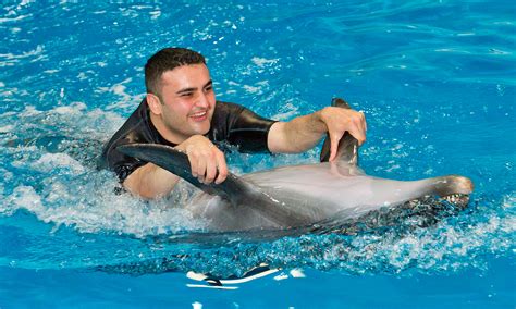 Dolphin MEET and GREET | Dubai Dolphinarium Official Site