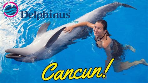 Swim with Dolphins - What to expect | Cancun Mexico | Delphinus - YouTube