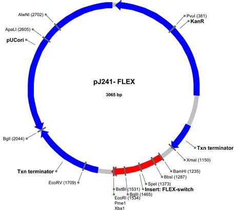 Addgene: pJ241-FLEX