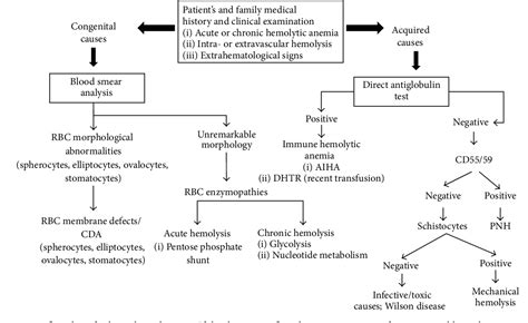 Differential Diagnosis Flowchart