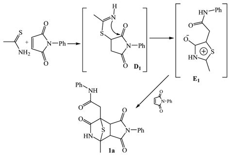 Scheme 2. Interaction of thioacetamide and N-phenylmaleimide during ...