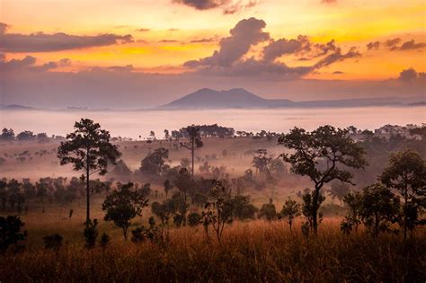 Tanzania Safari to Serengeti & Ngorongoro Crater