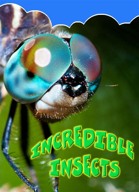 Incredible Insects