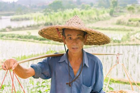 Chinese farmer stock photo. Image of farm, summer, harvest - 46182810