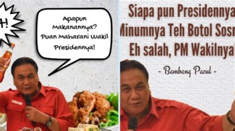 Geger! Muncul Meme Puan Maharani Maju Pilpres 2024 Disamakan dengan Teh ...