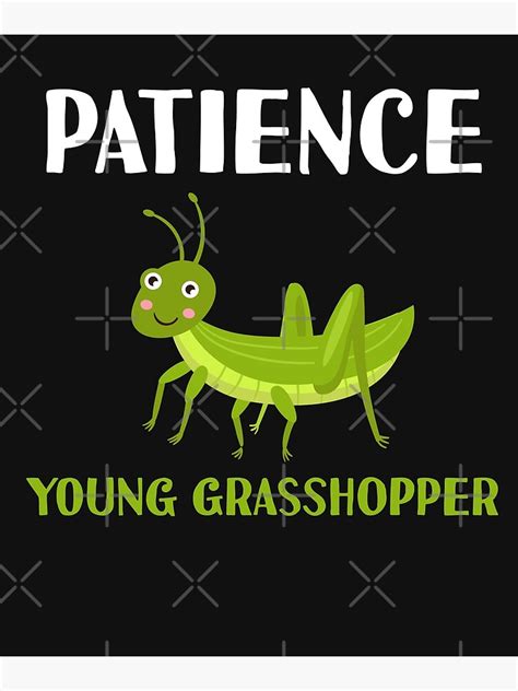 "Patience Young Grasshopper Funny Meme Kawaii Grasshoppers" Poster for ...