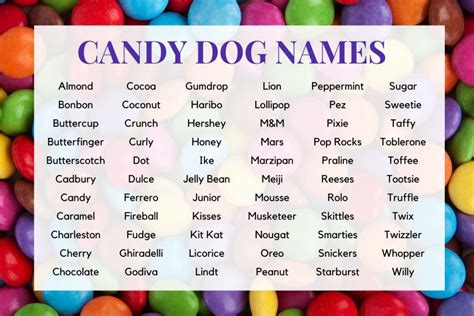 Candy Names for Dogs - PuppyLists