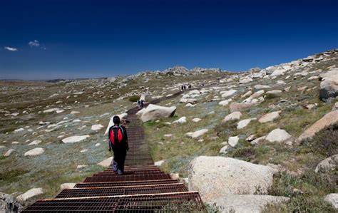 The Ultimate Mount Kosciuszko Hike Guide in 2023