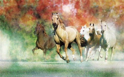 7 Horse Hd Wallpapers 1920x1080 - Horses Desktop Galloping Wallpapers ...