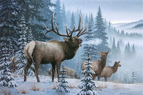 mountain men prints - Bing Images Elk Pictures, Wildlife Pictures ...