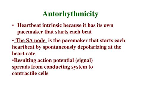 PPT - Heart is about the size of your fist Is a four chambered pump ...