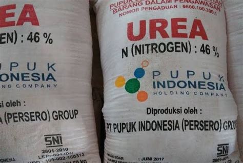 Kementan Izinkan Daerah Realokasi Pupuk Subsidi - AgroIndonesia