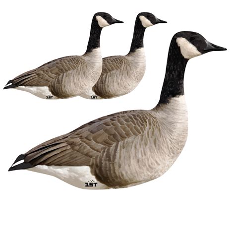 Canadian Goose Sentry Silhouette Decoys - 3 Pack - Cast Cray Outdoors