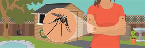 Mosquito-Borne Diseases - Vedic Paths