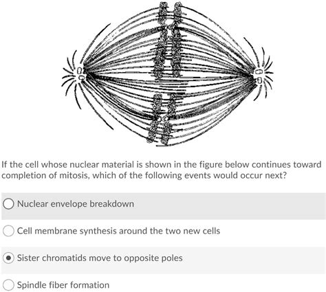 SOLVED: If the cell whose nuclear material is shown in the figure below ...