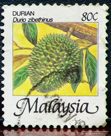 Fruits of Malaysia Definitives Stamps | Stamps Gallery