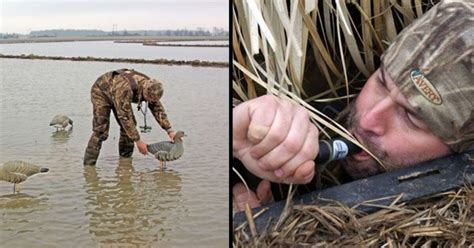 12 Tips For Goose Hunters | Grand View Outdoors