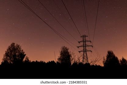 Night Sky Full Stars Forest Background Stock Photo 2184385551 ...