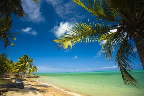 Alagoas: veja fotos das 10 melhores praias de Maceió e arredores ...