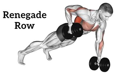 Renegade Row: How To Do, Benefits and Muscle Worked