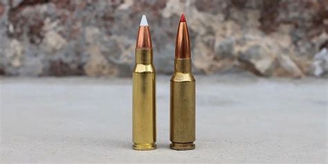 6.8 SPC vs 6.5 Grendel – A 2022 Guide - Gun Mann