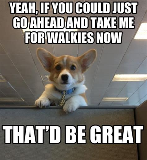 Dogs at Work Memes #FridayFrivolity - Munofore