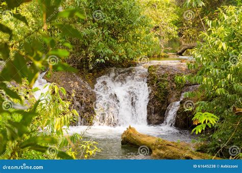 Waterfall in Bonito stock photo. Image of brazil, nearby - 61645238