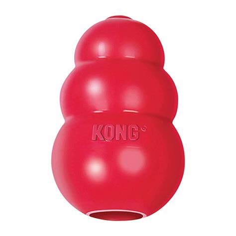 10 Best Toys To Keep Your Dog Busy Indoors | Dog Toys Advisor