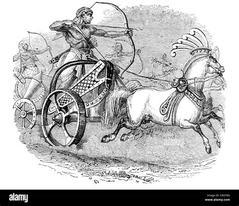 Chariots chariot ancient Egyptian society chariotry King’s military ...