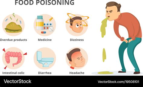 Different symptoms of food poisoning infographic Vector Image