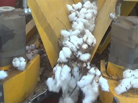 Cotton Harvesting Machine, Cotton Harvester, Cotton Picking Machine