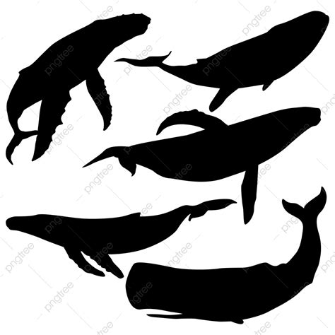 Whales Vector Art PNG, Set Of Whale Silhouette, Whale Silhouette, Whale ...