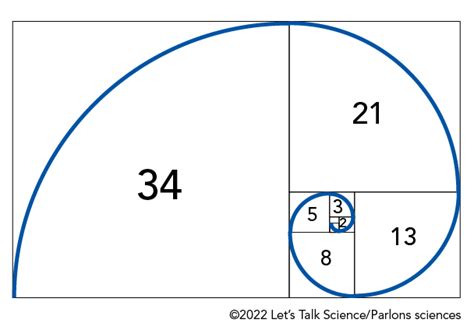 Fibonacci and Golden Ratio | Let's Talk Science