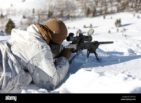 USA California United States Marine Corps Scout / Snipers during ...