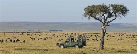 When Is The Best Visiting Time To Go To Masai Mara In Kenya ...