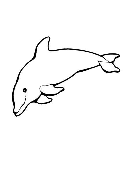 Dolphin Coloring Pages