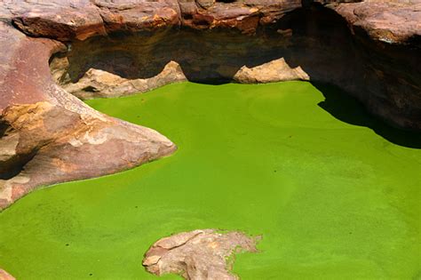 Where Life Began? Matsieng Footprints in Botswana - The Gate