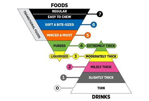 What Are The Stages of Dysphagia Diets? And How to Advance Them – ADULT ...