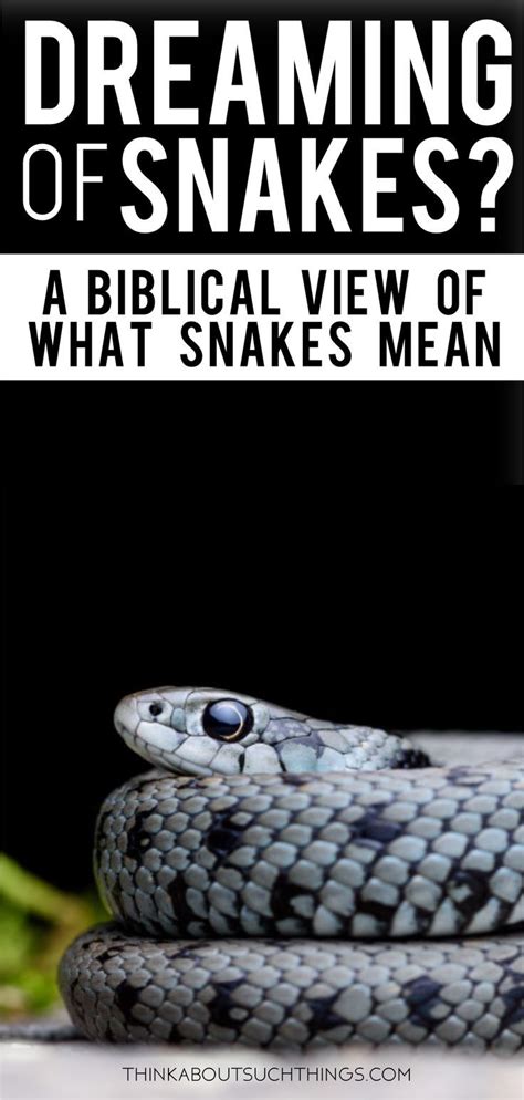 Dream About Snakes Meaning Biblical - DREAMAIP