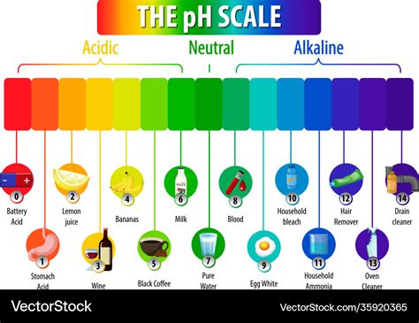 Ph scale diagram on white background Royalty Free Vector