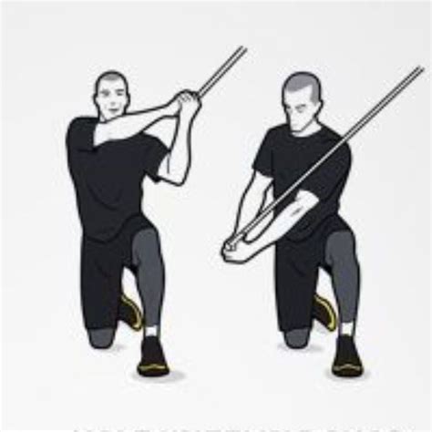 Half Kneeling Cable Chop by Rob D - Exercise How-to - Skimble