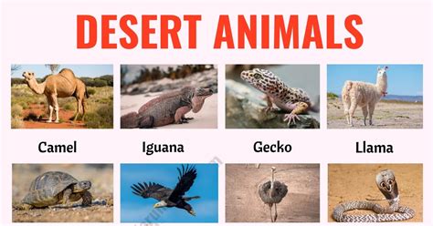 140 Desert Animals: List of Animals that Live in the Desert with ESL ...