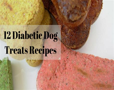 15 Great Diabetic Dog Treat Recipes – Easy Recipes To Make at Home