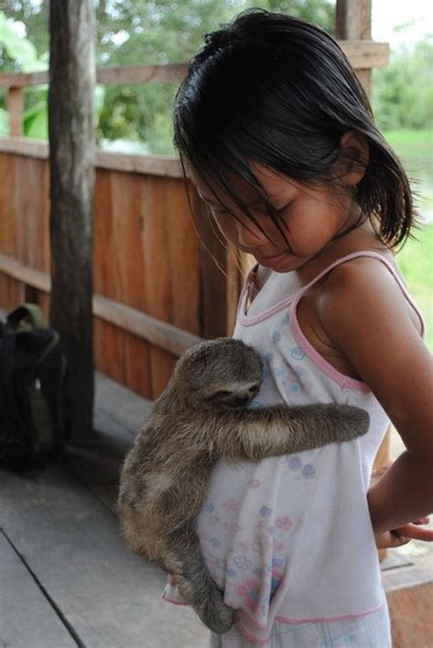 Baby sloth hugs little girl - Teh Cute