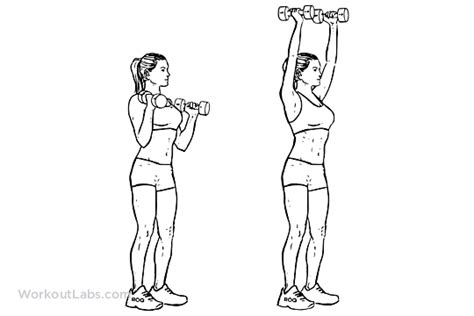 Standing Dumbbell Overhead Shoulder Press | WorkoutLabs