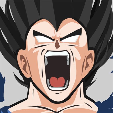 Vegeta Dbz Pfp