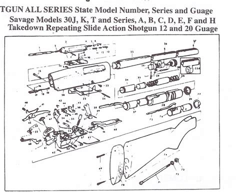 Stevens Double Barrel Shotgun Parts Diagram