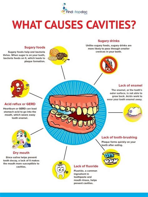 Does Brushing Your Teeth Prevent Cavities - Teeth Poster